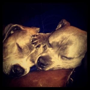 Meet your Posher, Lindsey